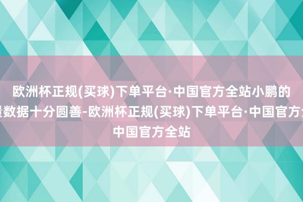 欧洲杯正规(买球)下单平台·中国官方全站小鹏的销量数据十分圆善-欧洲杯正规(买球)下单平台·中国官方全站