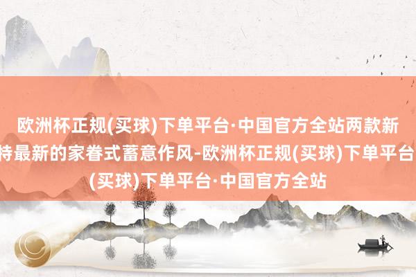 欧洲杯正规(买球)下单平台·中国官方全站两款新车齐换用了福特最新的家眷式蓄意作风-欧洲杯正规(买球)下单平台·中国官方全站