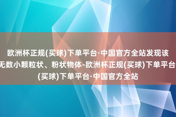 欧洲杯正规(买球)下单平台·中国官方全站发现该批货品搀杂有无数小颗粒状、粉状物体-欧洲杯正规(买球)下单平台·中国官方全站