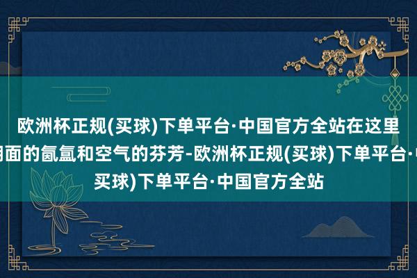 欧洲杯正规(买球)下单平台·中国官方全站在这里您不错畅享湖面的氤氲和空气的芬芳-欧洲杯正规(买球)下单平台·中国官方全站