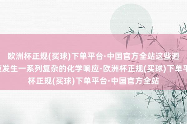 欧洲杯正规(买球)下单平台·中国官方全站这些迥殊身分便会与唾液发生一系列复杂的化学响应-欧洲杯正规(买球)下单平台·中国官方全站