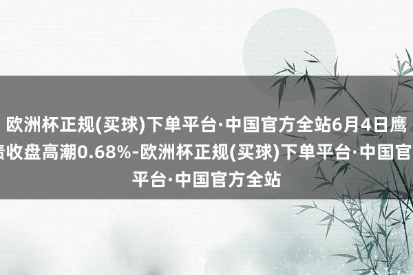 欧洲杯正规(买球)下单平台·中国官方全站6月4日鹰19转债收盘高潮0.68%-欧洲杯正规(买球)下单平台·中国官方全站