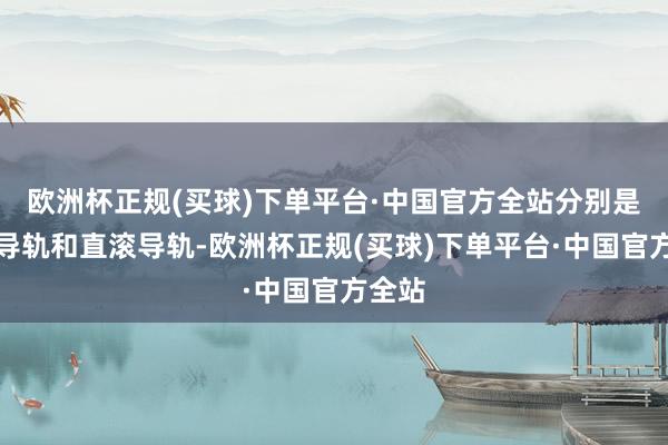 欧洲杯正规(买球)下单平台·中国官方全站分别是直线导轨和直滚导轨-欧洲杯正规(买球)下单平台·中国官方全站