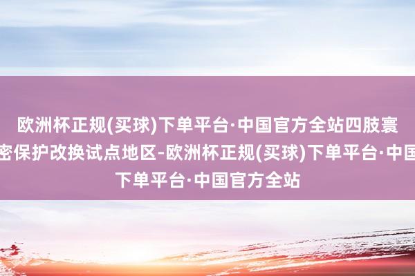 欧洲杯正规(买球)下单平台·中国官方全站四肢寰宇交易私密保护改换试点地区-欧洲杯正规(买球)下单平台·中国官方全站