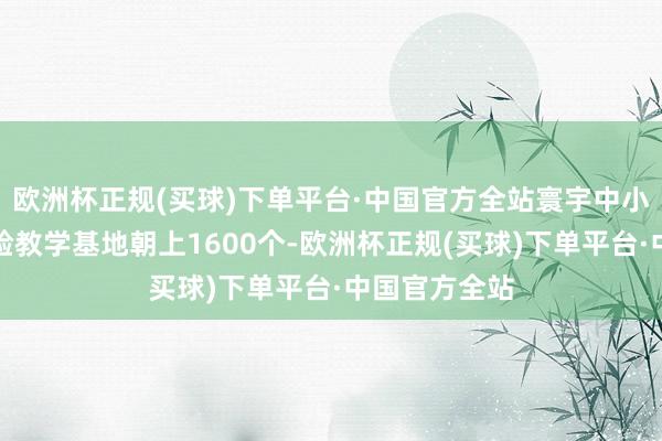 欧洲杯正规(买球)下单平台·中国官方全站寰宇中小学生研学实验教学基地朝上1600个-欧洲杯正规(买球)下单平台·中国官方全站