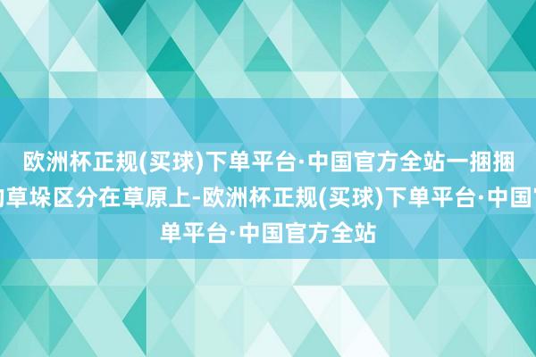 欧洲杯正规(买球)下单平台·中国官方全站一捆捆打包好的草垛区分在草原上-欧洲杯正规(买球)下单平台·中国官方全站