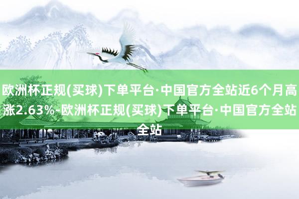 欧洲杯正规(买球)下单平台·中国官方全站近6个月高涨2.63%-欧洲杯正规(买球)下单平台·中国官方全站