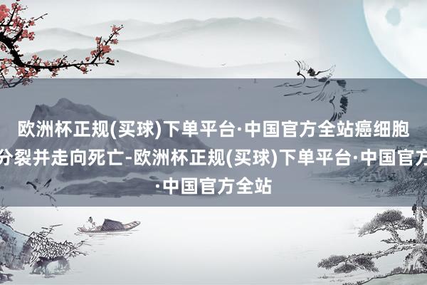 欧洲杯正规(买球)下单平台·中国官方全站癌细胞无法分裂并走向死亡-欧洲杯正规(买球)下单平台·中国官方全站