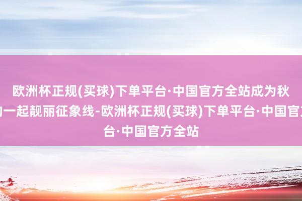 欧洲杯正规(买球)下单平台·中国官方全站成为秋日里的一起靓丽征象线-欧洲杯正规(买球)下单平台·中国官方全站