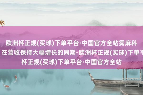 欧洲杯正规(买球)下单平台·中国官方全站雾麻科技作念对了什么？在营收保持大幅增长的同期-欧洲杯正规(买球)下单平台·中国官方全站