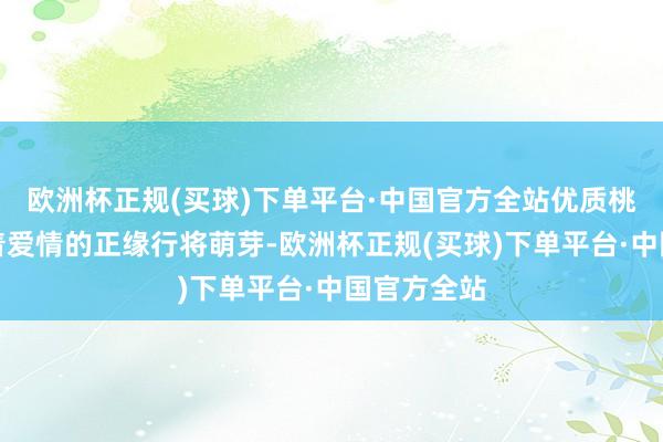 欧洲杯正规(买球)下单平台·中国官方全站优质桃花运预示着爱情的正缘行将萌芽-欧洲杯正规(买球)下单平台·中国官方全站