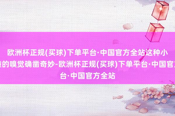 欧洲杯正规(买球)下单平台·中国官方全站这种小鹿乱撞的嗅觉确凿奇妙-欧洲杯正规(买球)下单平台·中国官方全站