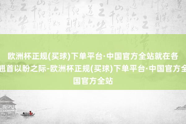 欧洲杯正规(买球)下单平台·中国官方全站就在各人翘首以盼之际-欧洲杯正规(买球)下单平台·中国官方全站