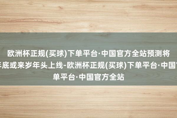 欧洲杯正规(买球)下单平台·中国官方全站预测将于本年年底或来岁年头上线-欧洲杯正规(买球)下单平台·中国官方全站