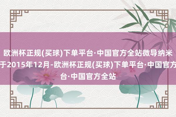 欧洲杯正规(买球)下单平台·中国官方全站微导纳米建树于2015年12月-欧洲杯正规(买球)下单平台·中国官方全站