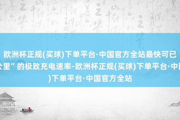 欧洲杯正规(买球)下单平台·中国官方全站最快可已毕“1秒1公里”的极致充电速率-欧洲杯正规(买球)下单平台·中国官方全站