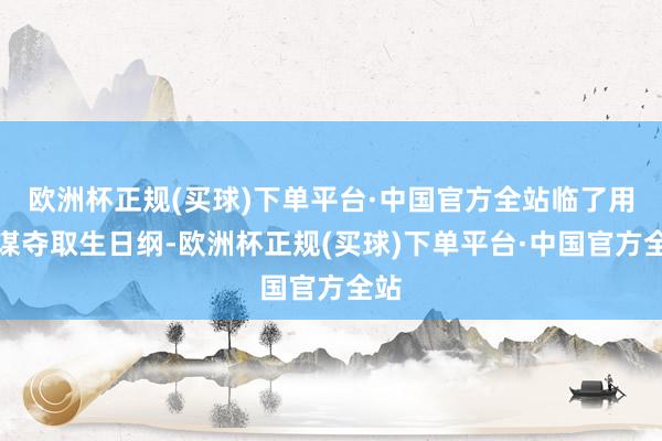 欧洲杯正规(买球)下单平台·中国官方全站临了用计谋夺取生日纲-欧洲杯正规(买球)下单平台·中国官方全站