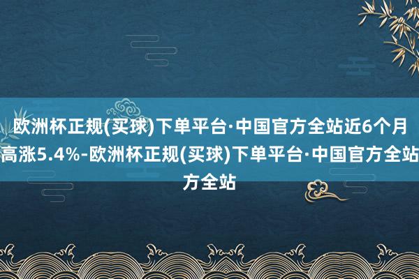 欧洲杯正规(买球)下单平台·中国官方全站近6个月高涨5.4%-欧洲杯正规(买球)下单平台·中国官方全站