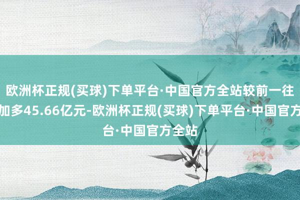 欧洲杯正规(买球)下单平台·中国官方全站较前一往异日加多45.66亿元-欧洲杯正规(买球)下单平台·中国官方全站