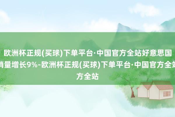 欧洲杯正规(买球)下单平台·中国官方全站好意思国销量增长9%-欧洲杯正规(买球)下单平台·中国官方全站