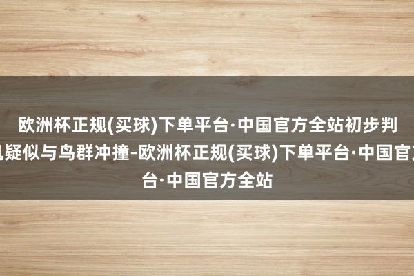 欧洲杯正规(买球)下单平台·中国官方全站初步判断客机疑似与鸟群冲撞-欧洲杯正规(买球)下单平台·中国官方全站