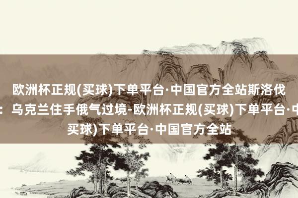 欧洲杯正规(买球)下单平台·中国官方全站斯洛伐克总理 菲佐：乌克兰住手俄气过境-欧洲杯正规(买球)下单平台·中国官方全站