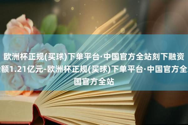 欧洲杯正规(买球)下单平台·中国官方全站刻下融资余额1.21亿元-欧洲杯正规(买球)下单平台·中国官方全站