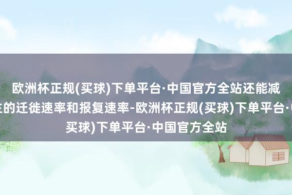 欧洲杯正规(买球)下单平台·中国官方全站还能减少敌东说念主的迁徙速率和报复速率-欧洲杯正规(买球)下单平台·中国官方全站