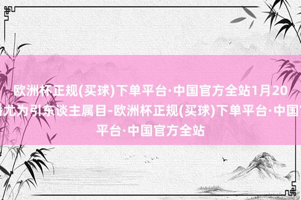 欧洲杯正规(买球)下单平台·中国官方全站1月20日的直播尤为引东谈主属目-欧洲杯正规(买球)下单平台·中国官方全站