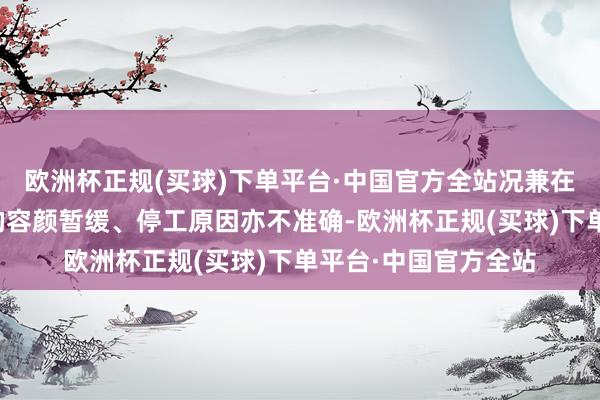 欧洲杯正规(买球)下单平台·中国官方全站况兼在这两份公告中泄漏的容颜暂缓、停工原因亦不准确-欧洲杯正规(买球)下单平台·中国官方全站