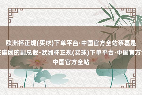 欧洲杯正规(买球)下单平台·中国官方全站蔡磊是京东集团的副总裁-欧洲杯正规(买球)下单平台·中国官方全站