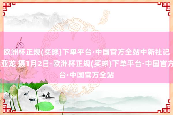 欧洲杯正规(买球)下单平台·中国官方全站中新社记者 李亚龙 摄1月2日-欧洲杯正规(买球)下单平台·中国官方全站