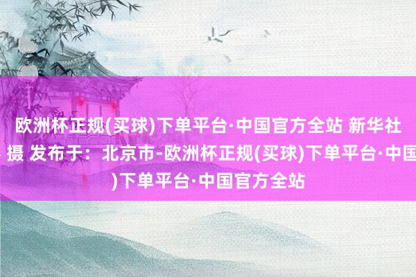 欧洲杯正规(买球)下单平台·中国官方全站 新华社记者 李睿 摄 发布于：北京市-欧洲杯正规(买球)下单平台·中国官方全站