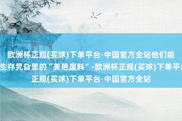 欧洲杯正规(买球)下单平台·中国官方全站他们能快速坐蓐每一个生存旯旮里的“美艳废料”-欧洲杯正规(买球)下单平台·中国官方全站