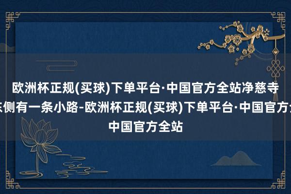 欧洲杯正规(买球)下单平台·中国官方全站净慈寺的东侧有一条小路-欧洲杯正规(买球)下单平台·中国官方全站