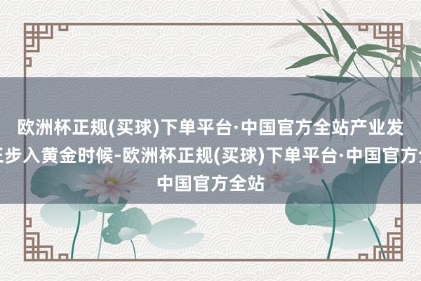 欧洲杯正规(买球)下单平台·中国官方全站产业发展正步入黄金时候-欧洲杯正规(买球)下单平台·中国官方全站